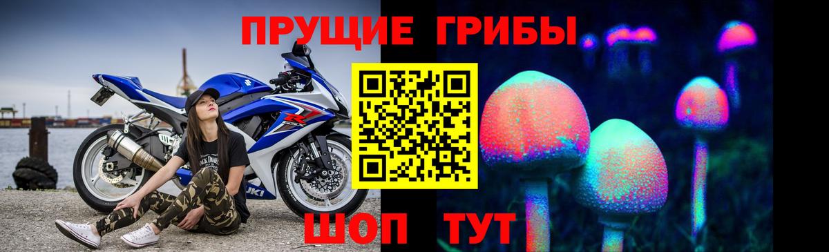 Псилоцибиновые грибы MAGIC MUSHROOMS  Вход с VPN  Елизово 